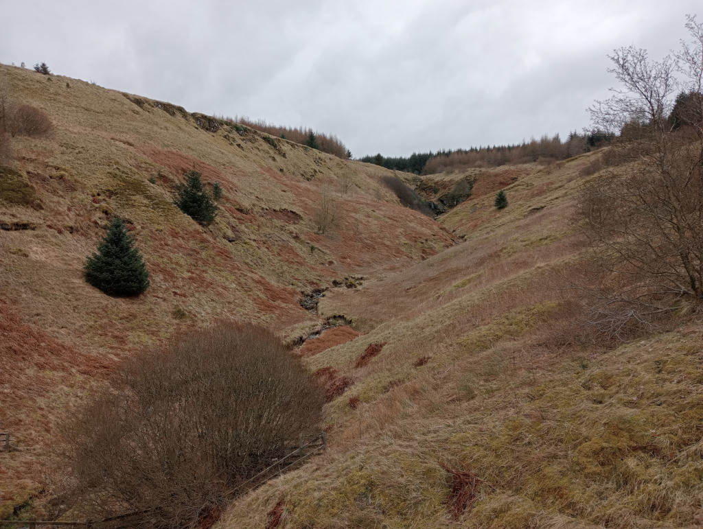 Land inclines steep to accomodate a hillside burn.