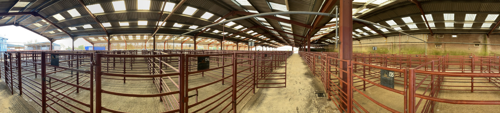 Panoramic view of the wide expanse of iron gated pens.
