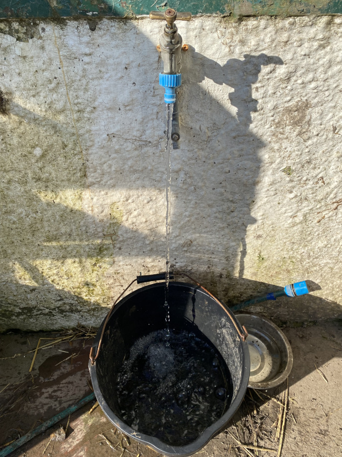 outside tap running into a black bucket