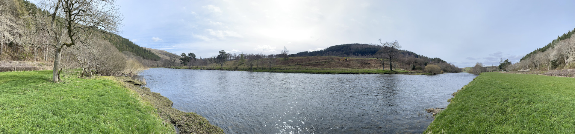 River Tweed running through the Yair Valley