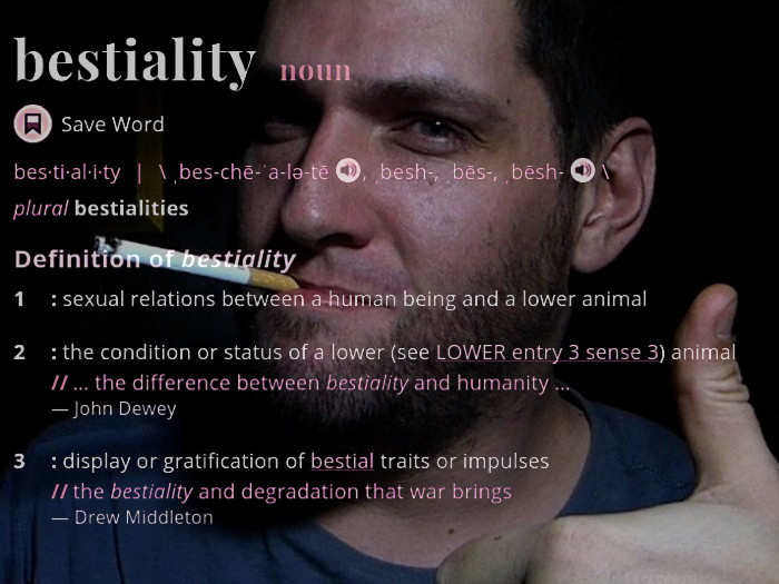 Definition of bestiality
