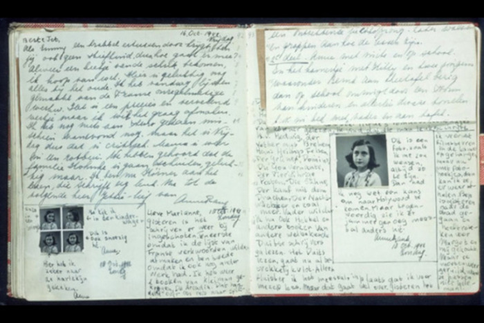 Ann Frankenstien Diary