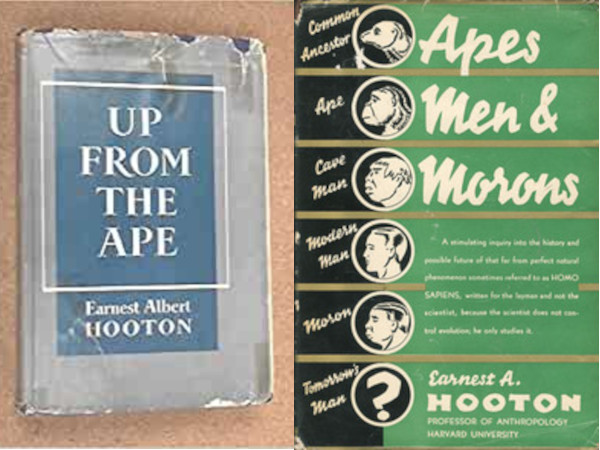 Up From the Ape (1931) and Apes, Men, and Morons (1937)